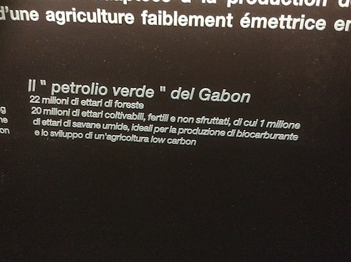 ...biodiesel in zone ad alta biodiversità del Gabon... 