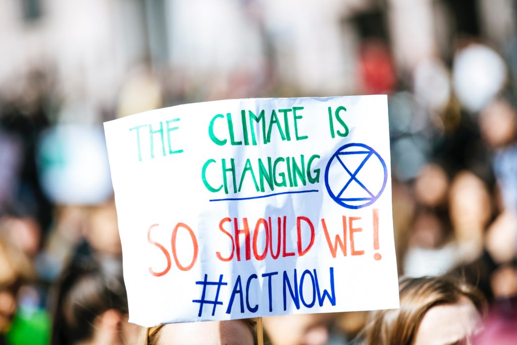 Proteste a difesa del clima o Climate Strike