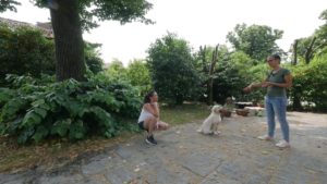 Dog training gestione degli oggetti