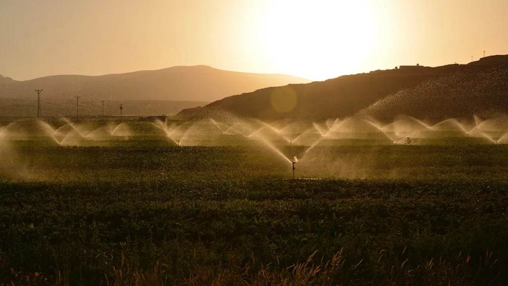 Siccità, irrigazione dei campi