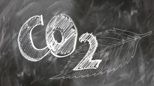 Cambiamenti climatici e CO2