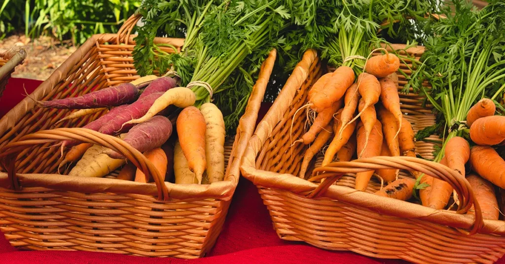 Cucina sostenibile, verdura