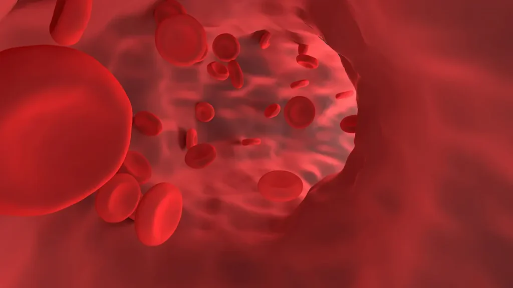 Microplastiche nel sangue