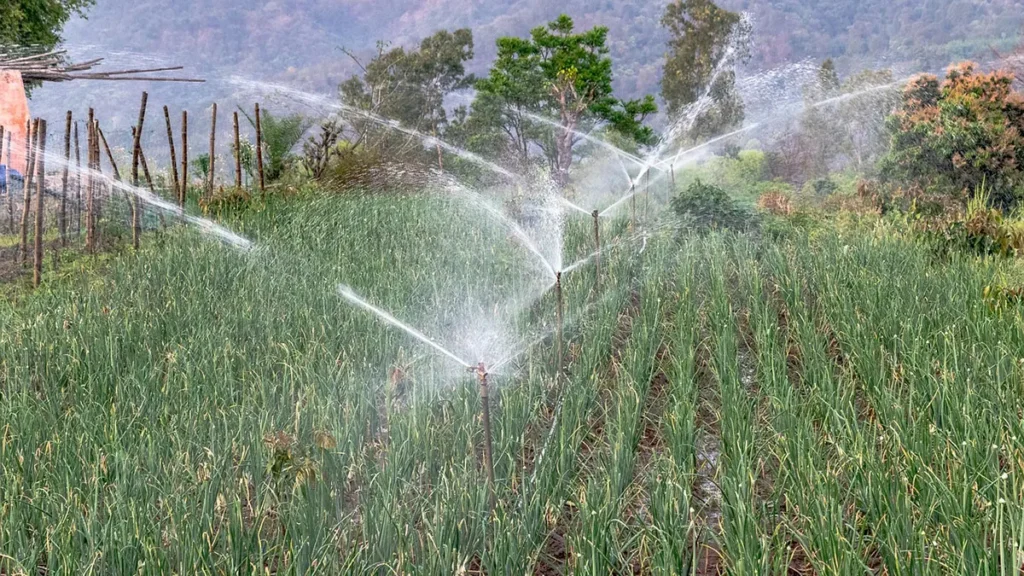 Agricoltura, siccità e irrigazione