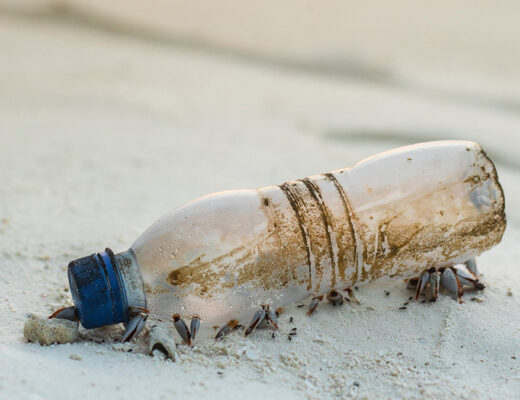 Plastica in spiaggia, deposito cauzionale