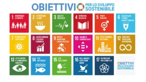 17 Obiettivi per lo Sviluppo Sostenibile