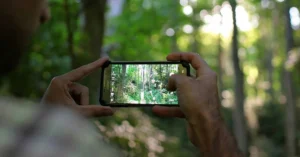 Fotografare immondizia abbandonata