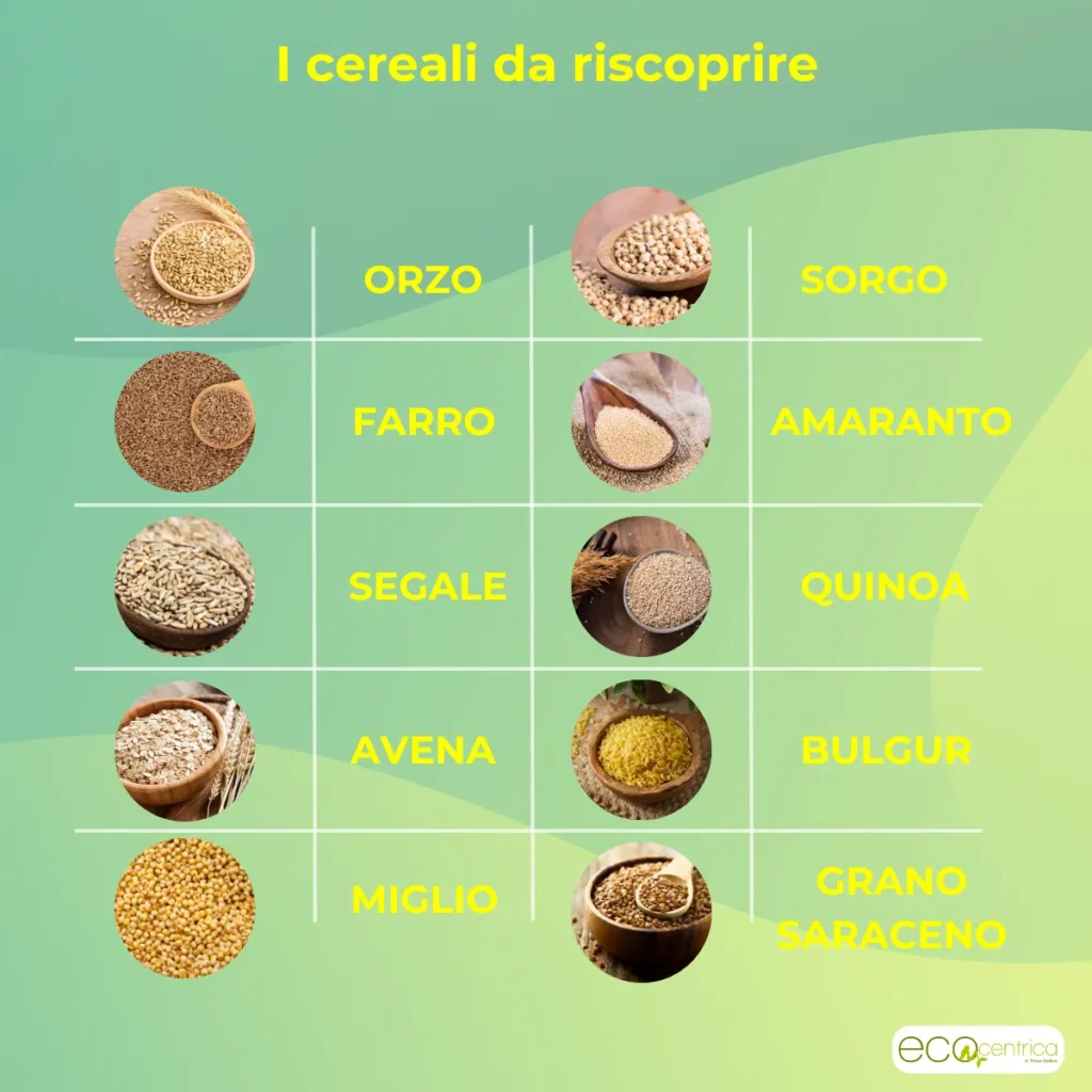 Cereali da riscoprire