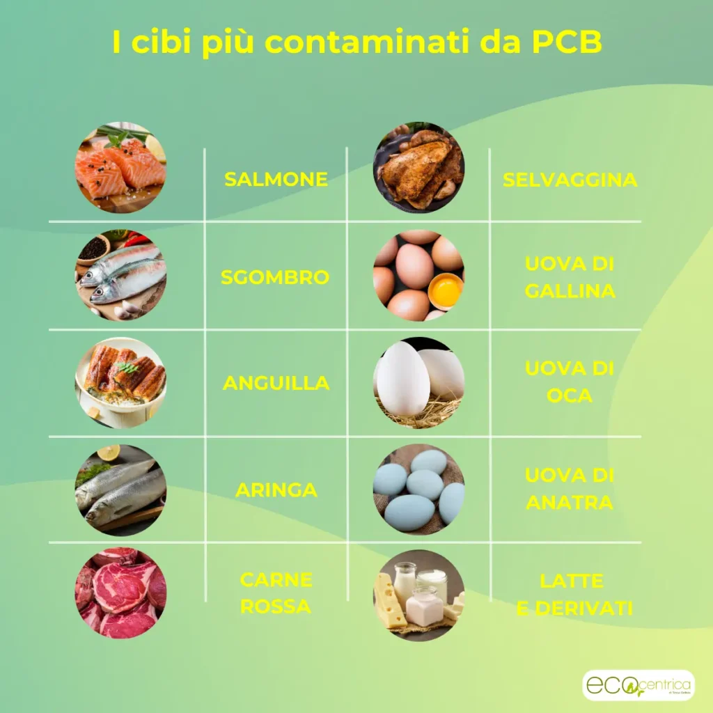 Cibi più contaminati da PCB