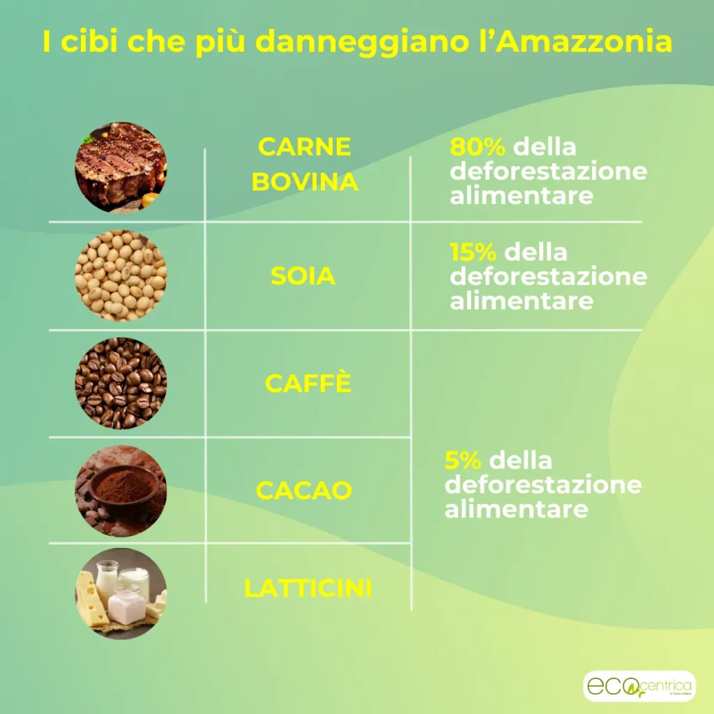 Cibi che danneggiano l'Amazzonia