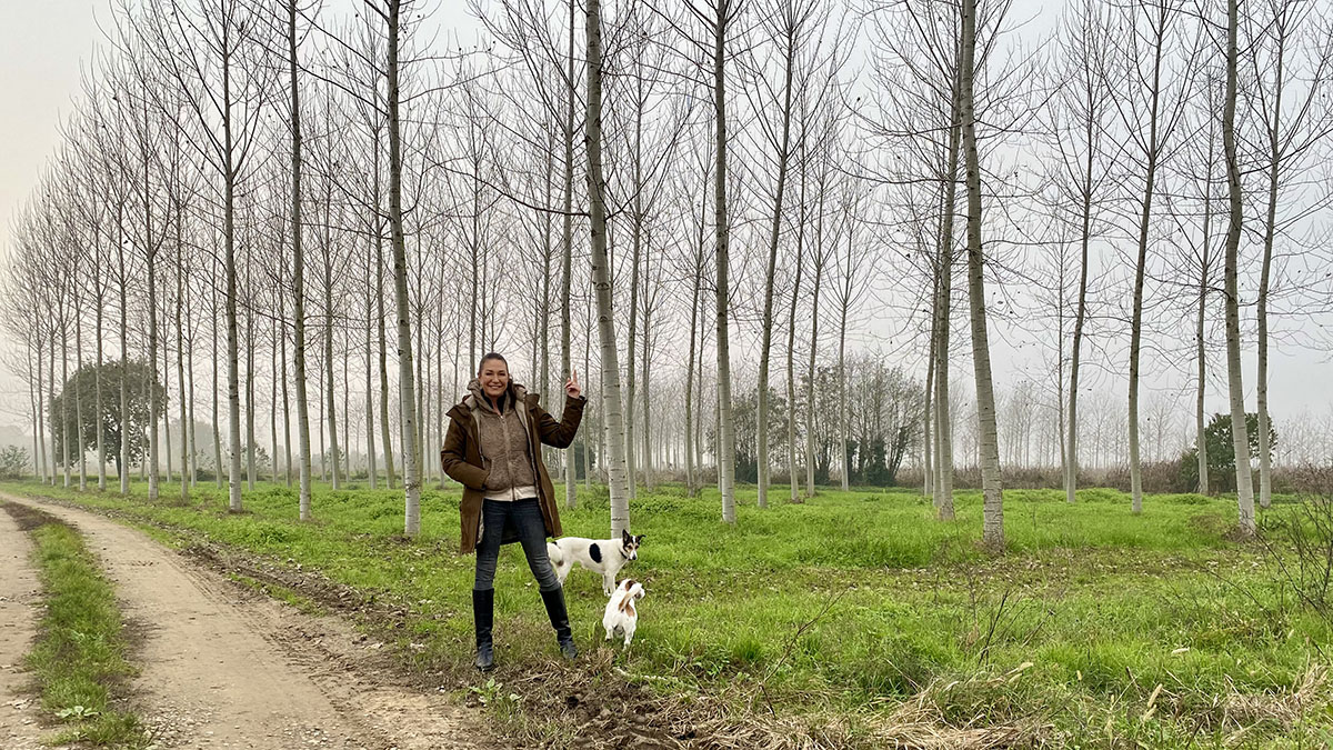 Piantare alberi salverà il Pianeta? Benefici e limiti