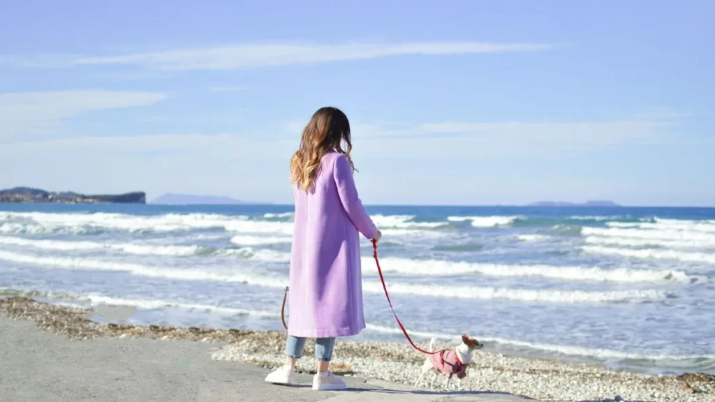 In spiaggia con il cane