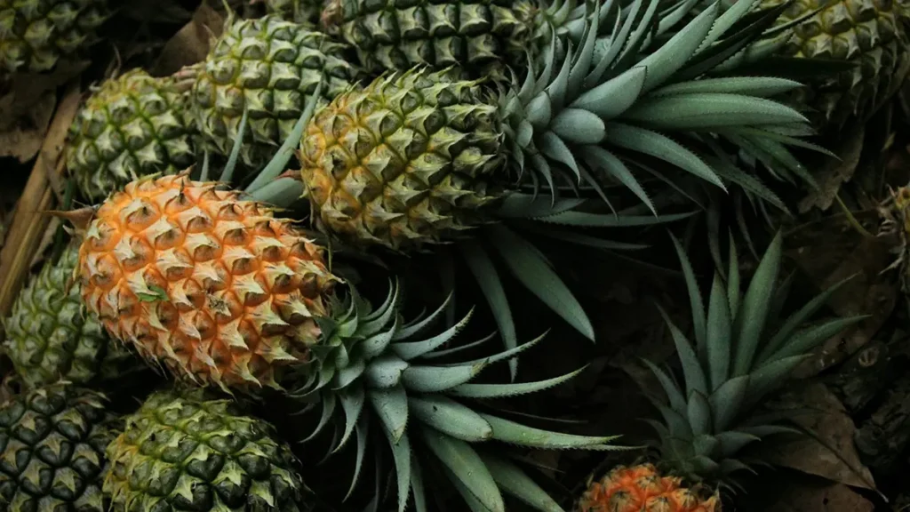 Ananas, frutta esotica