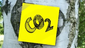 Fenomeni estremi e CO2