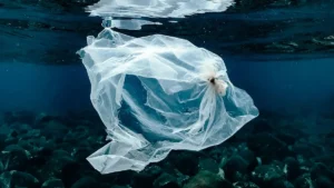 Busta di plastica in mare