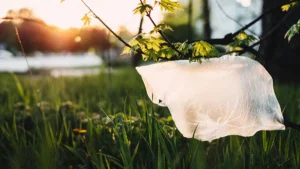 Sacchetto di plastica nel verde