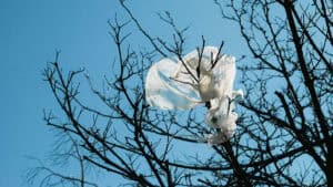 Sacchetto di plastica abbandonato nel verde