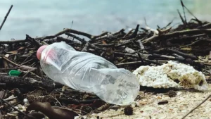 Bottiglia di bibita abbandonata