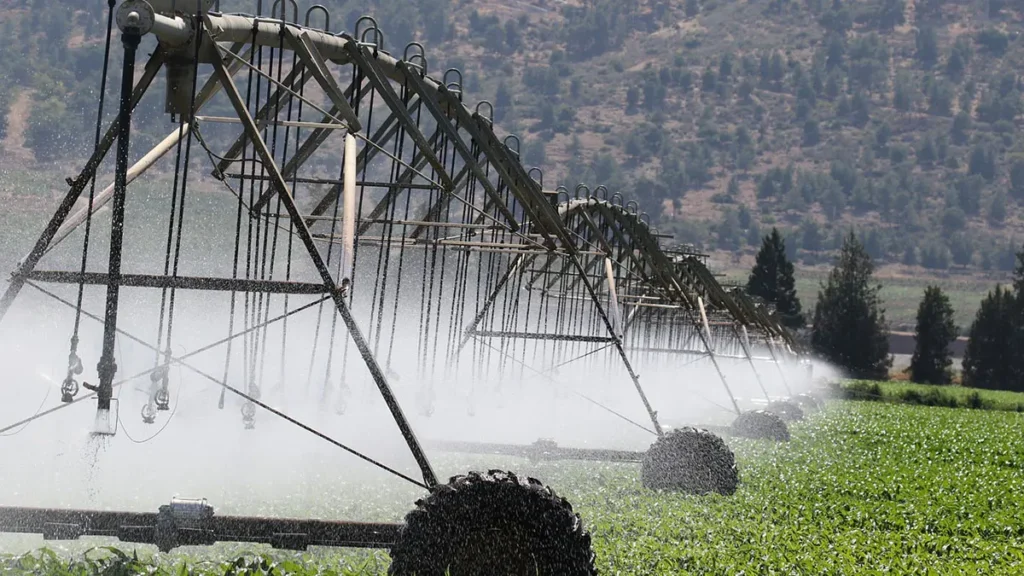 Biocarburanti e irrigazione
