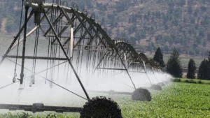 Biocarburanti e irrigazione