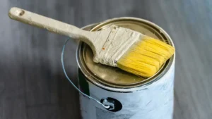 Composti organici volatili e vernici