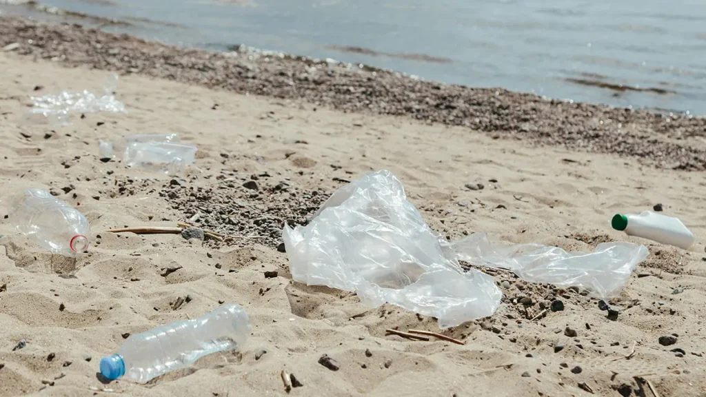 Plastica e ambienti marini