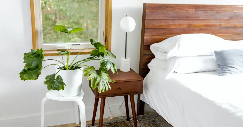 Dormire green, legno naturale