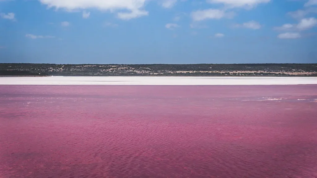 Lago rosa shocking in Australia