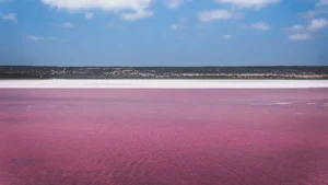 Lago rosa shocking in Australia