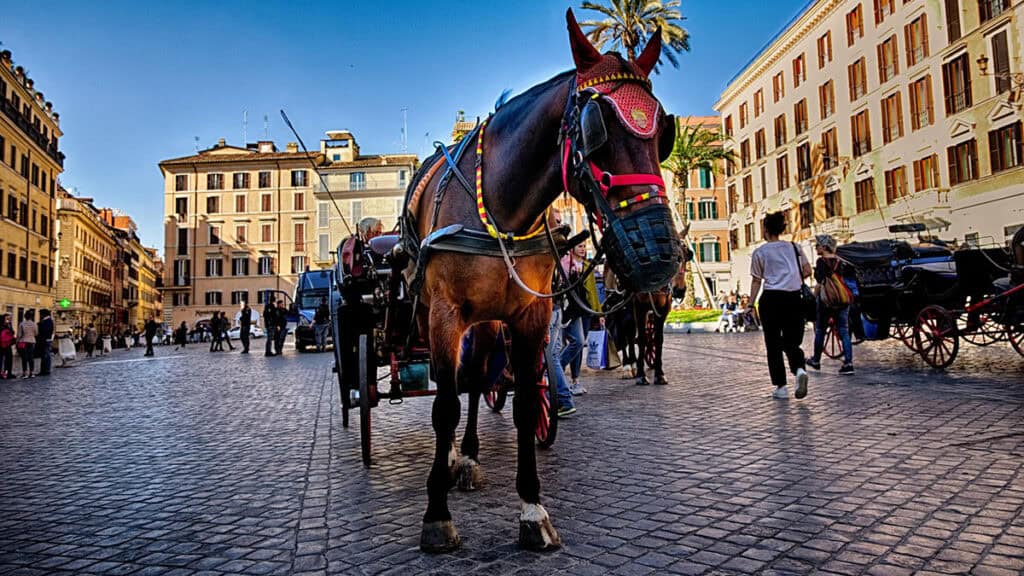 Animali maltrattati per turismo