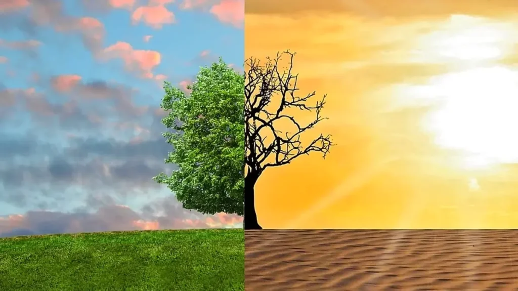 Insetti dannosi e cambiamenti climatici
