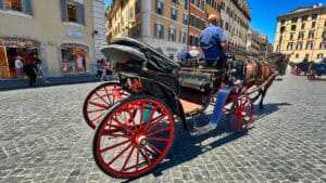Carrozze per turisti