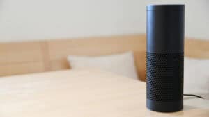 Controllo vocale, smart speaker