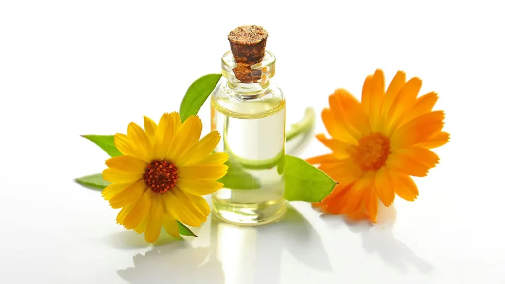 Estratto di calendula