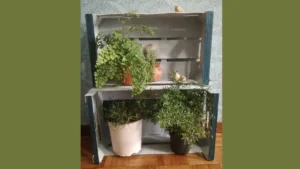 Cassette di legno porta vasi