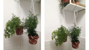 Vasetti appesi con intreccio macramè