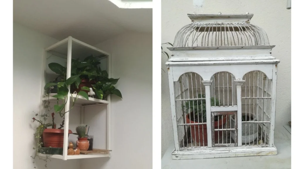 Gabbietta e scaffalatura