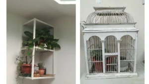 Gabbietta e scaffalatura