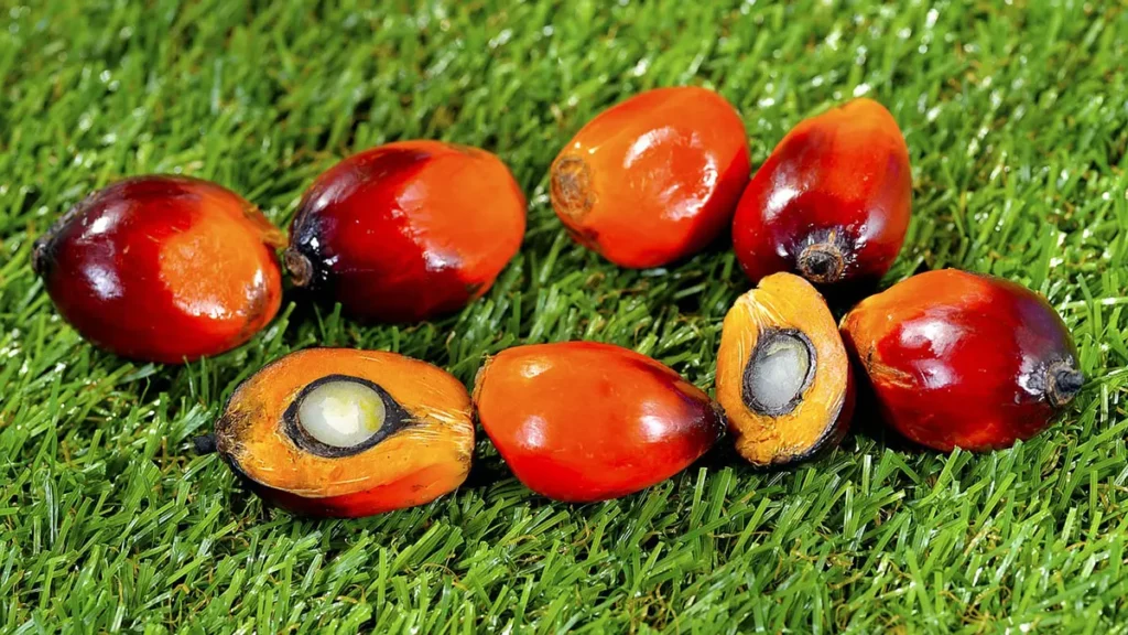 Olio di palma