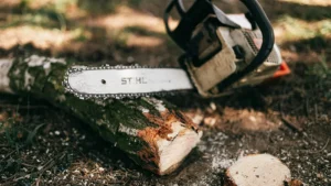 Taglio alberi per mobili low cost