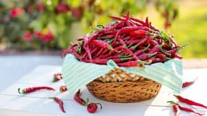 Superfood a chilometro zero