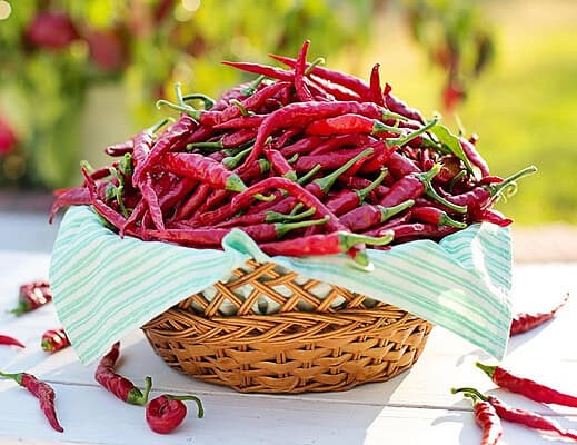 Superfood a chilometro zero? Ecco quali sono