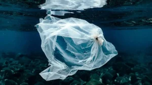 Plastica monouso nell'oceano