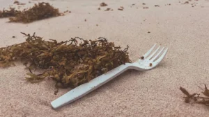 Rifiuti in plastica monouso