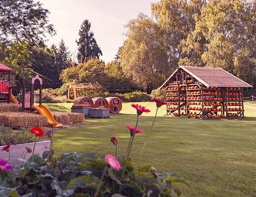 Un autunno tra zucche e natura, al Ranch Pumpkin Patch di Idea Village