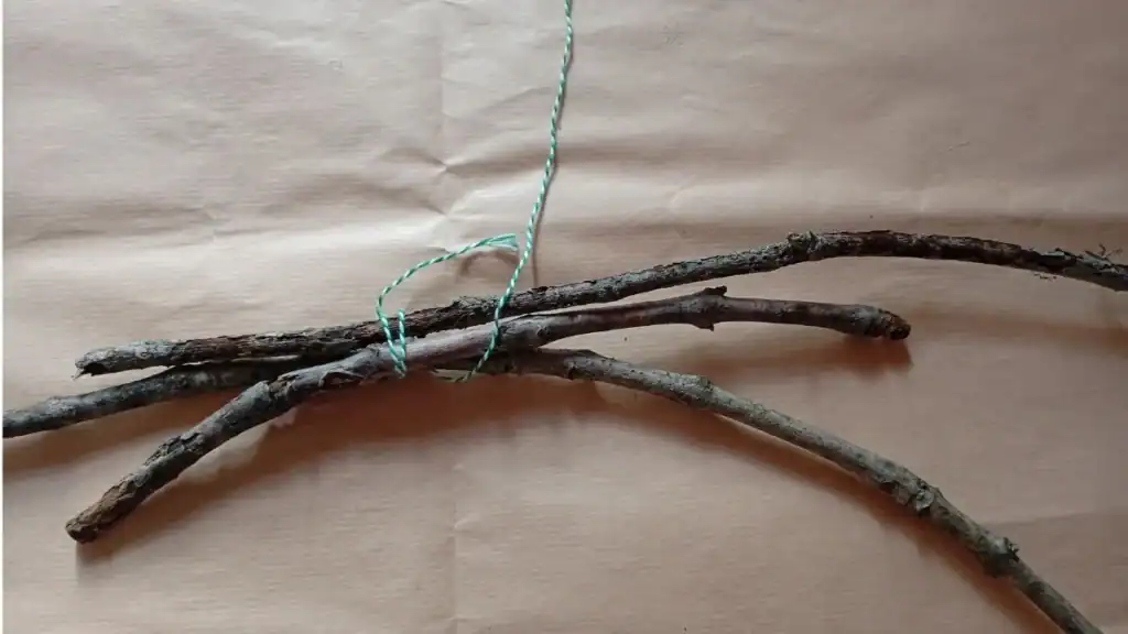 Decoro per la tavola con ramo, pigne e bacche 1