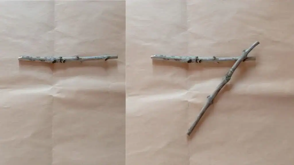 Stelle di Natale con i legnetti 1