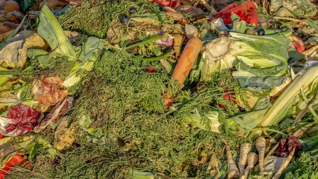 Scarti per il compost