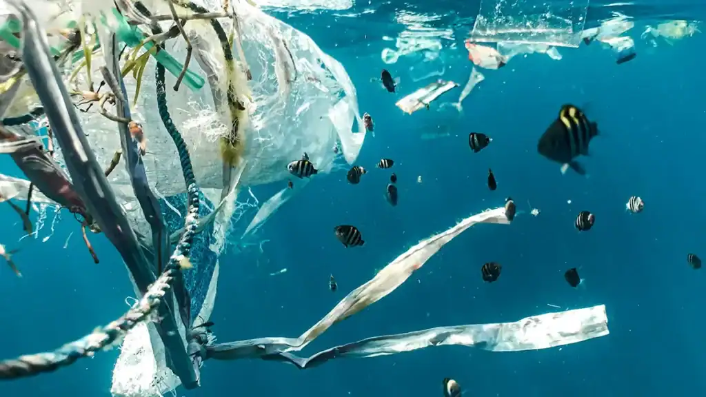 TG Green, plastica in mare