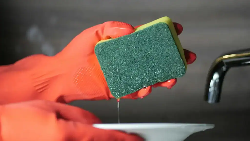 Spugna da cucina